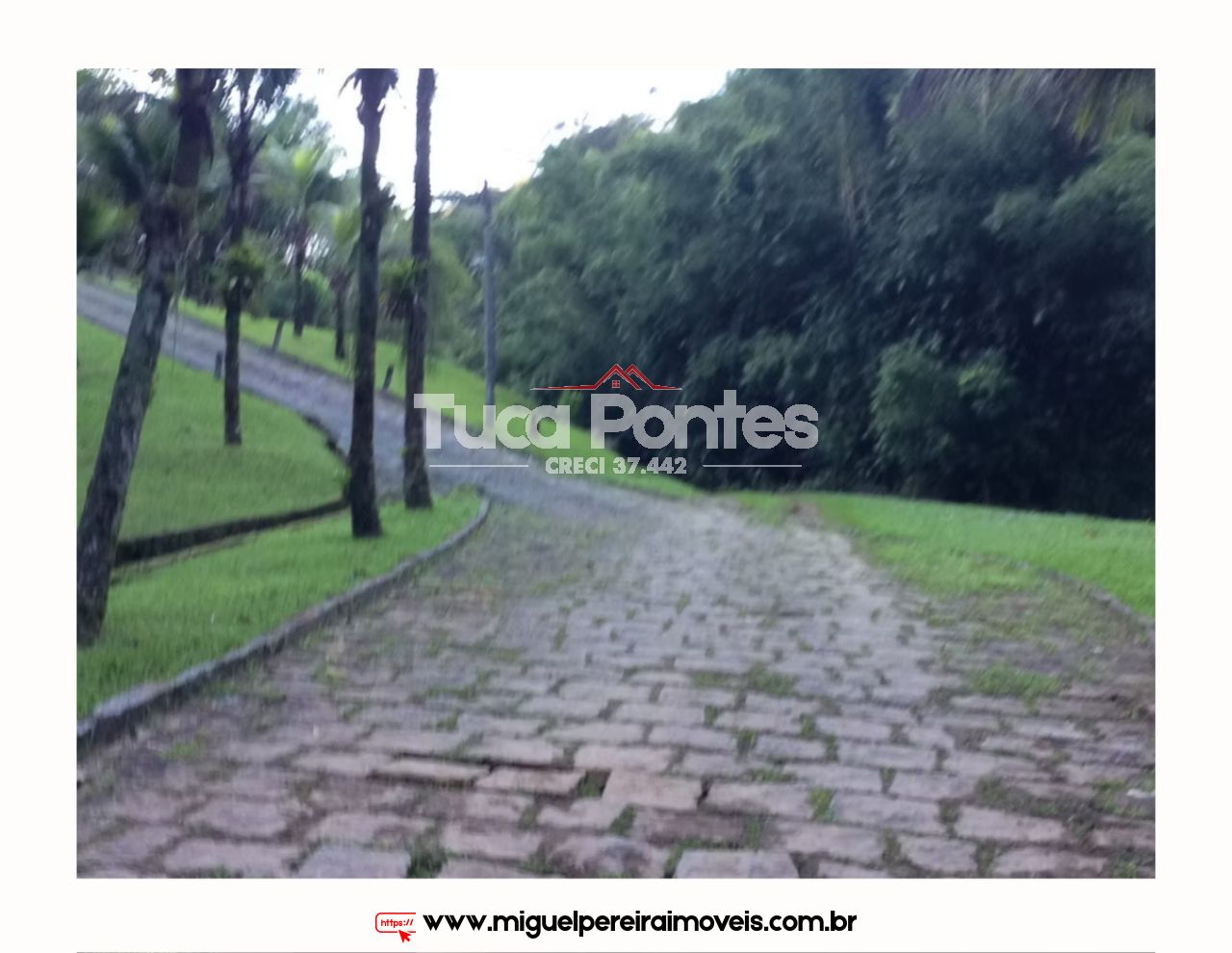 Sítio medindo 56 hectares  - Rico em nascentes  | Código:S34