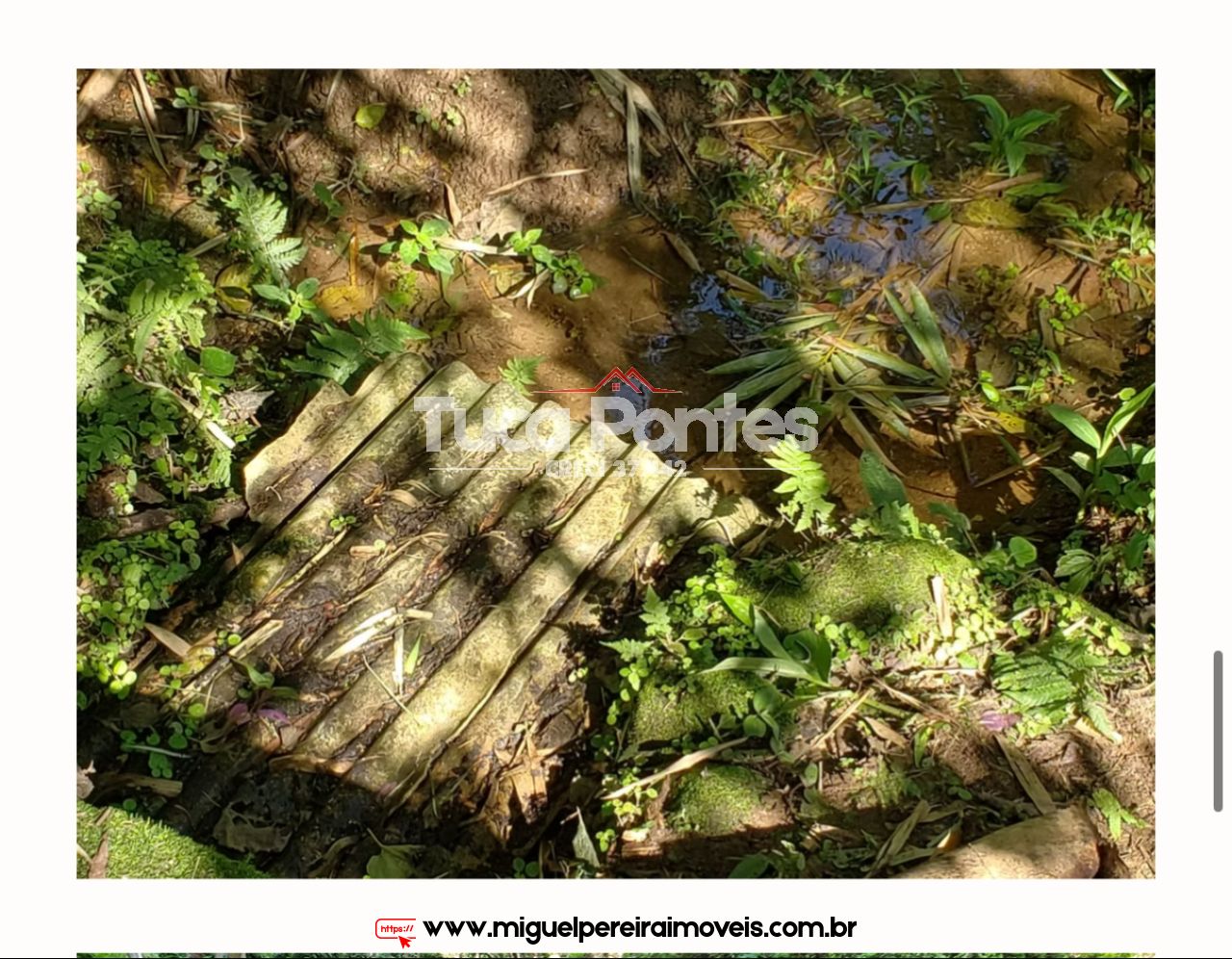 Sítio medindo 56 hectares  - Rico em nascentes  | Código:S34