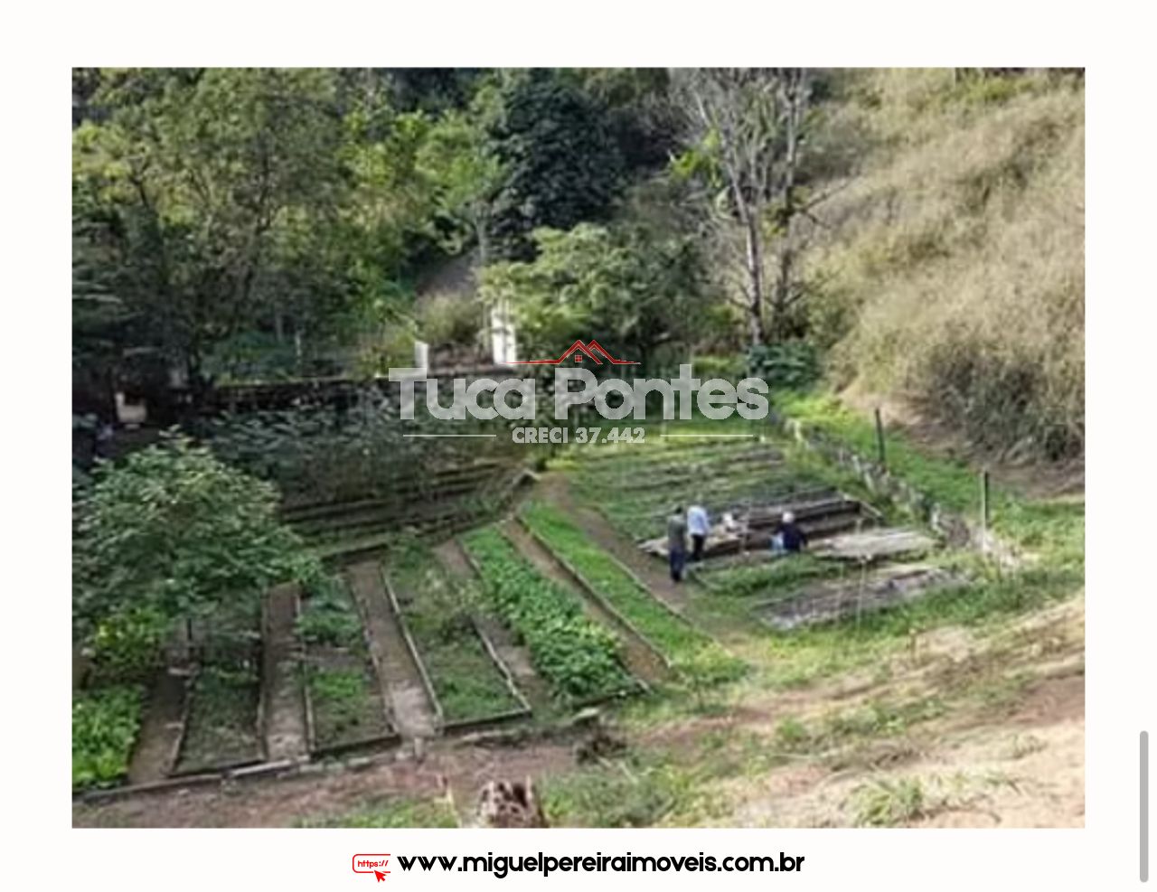 Sítio medindo 56 hectares  - Rico em nascentes  | Código:S34