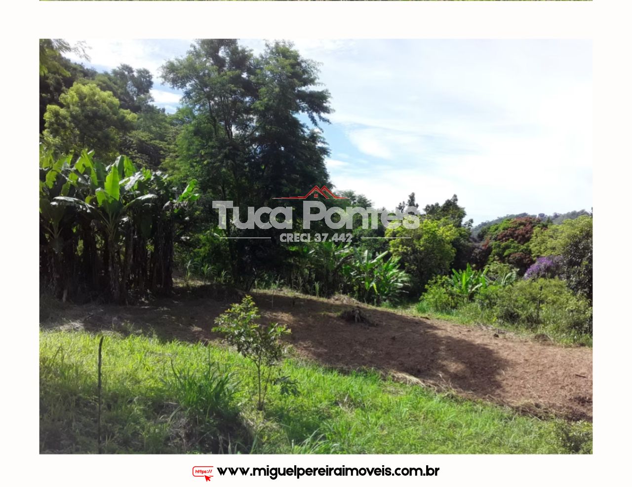 Sítio medindo 56 hectares  - Rico em nascentes  | Código:S34