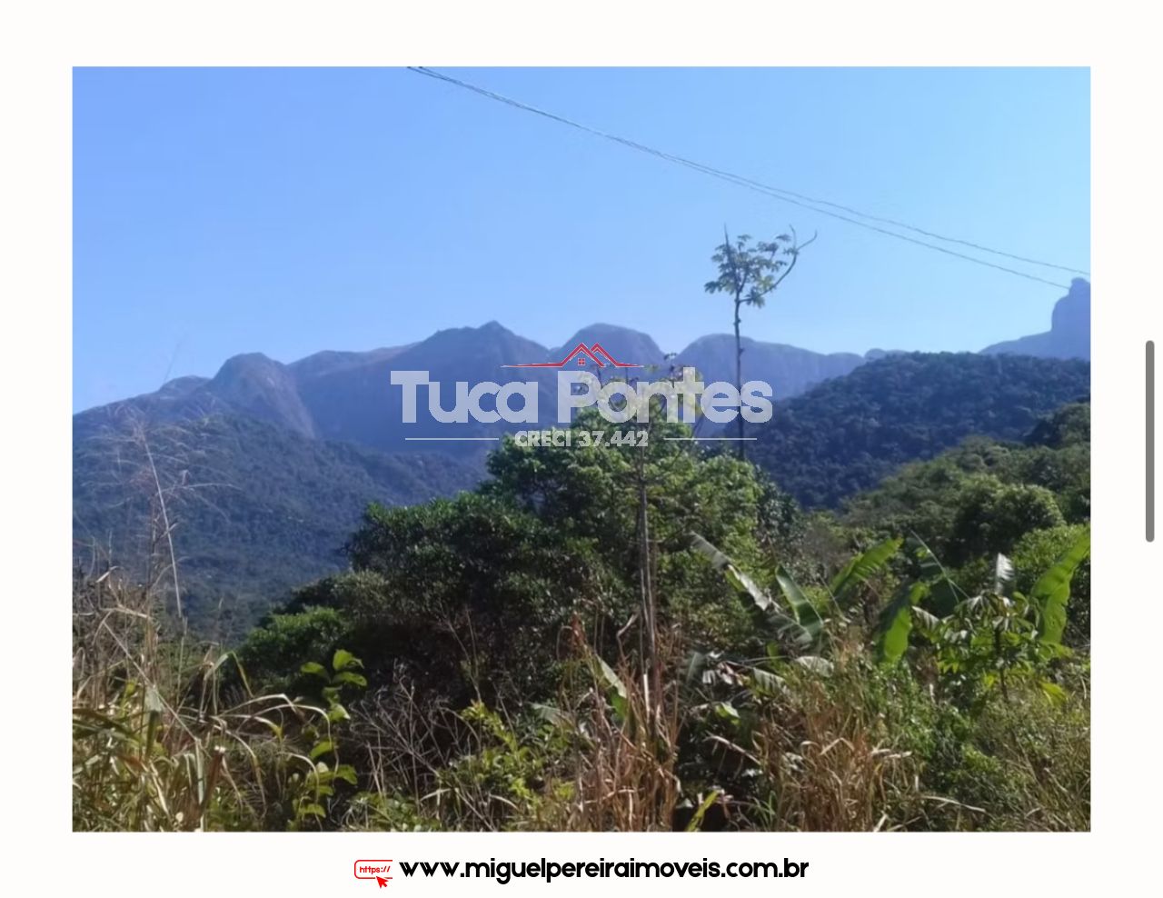 Sítio medindo 56 hectares  - Rico em nascentes  | Código:S34