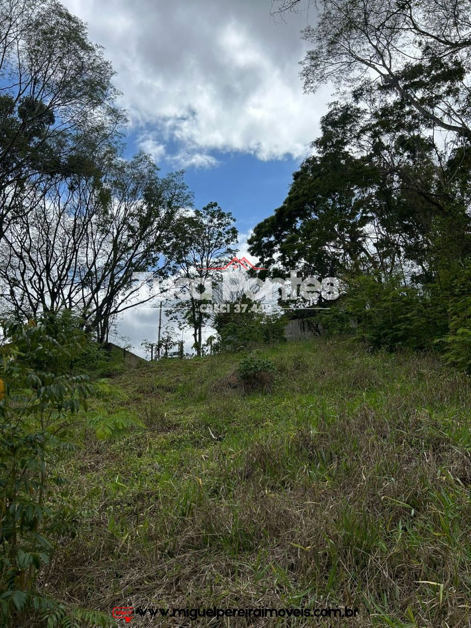 Verdadeiro achado  - Excelente localização  | Código:T29