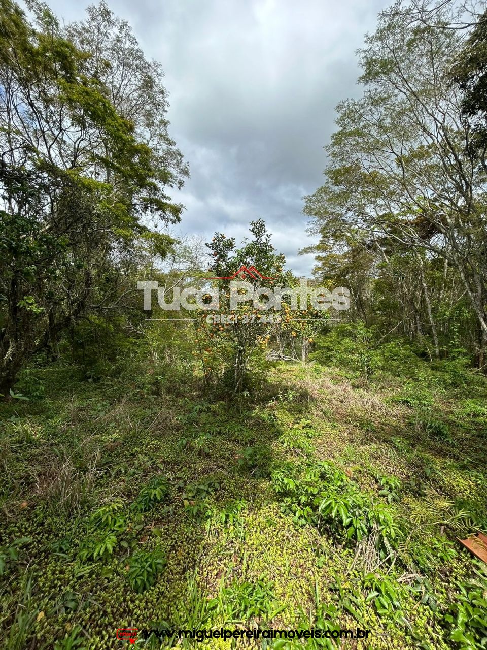 Verdadeiro achado  - Excelente localização  | Código:T29