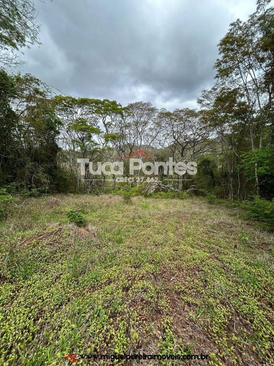 Verdadeiro achado  - Excelente localização  | Código:T29