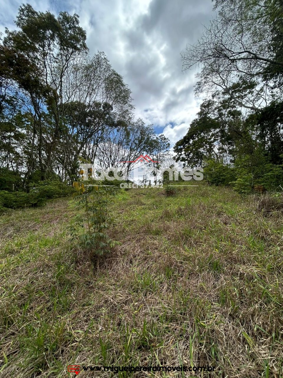 Verdadeiro achado  - Excelente localização  | Código:T29