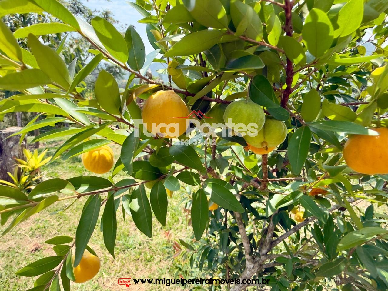 Vale cada real  - Oportunidade | Código:C4500