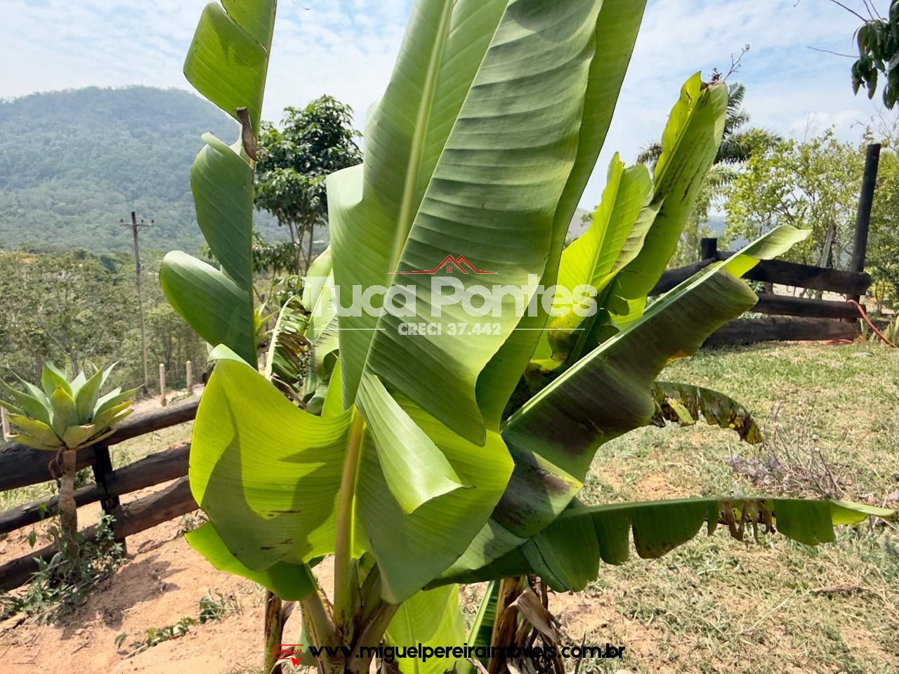 Vale cada real  - Oportunidade | Código:C4500