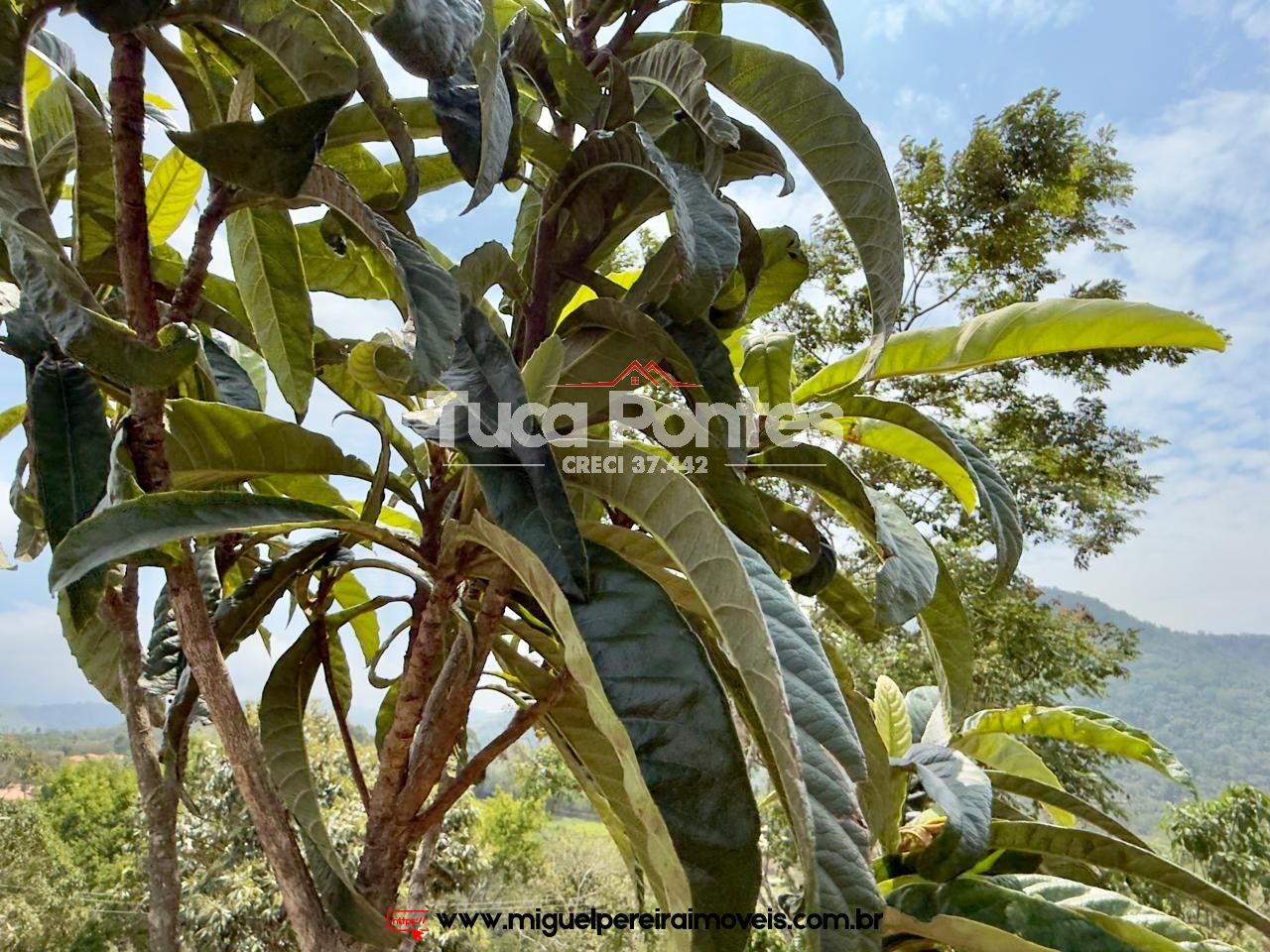 Vale cada real  - Oportunidade | Código:C4500