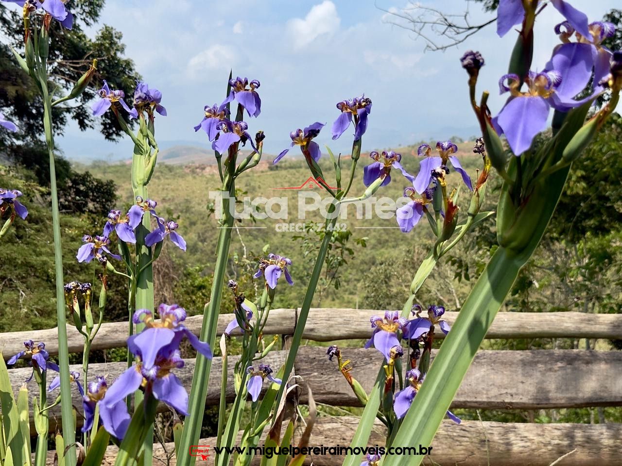 Vale cada real  - Oportunidade | Código:C4500