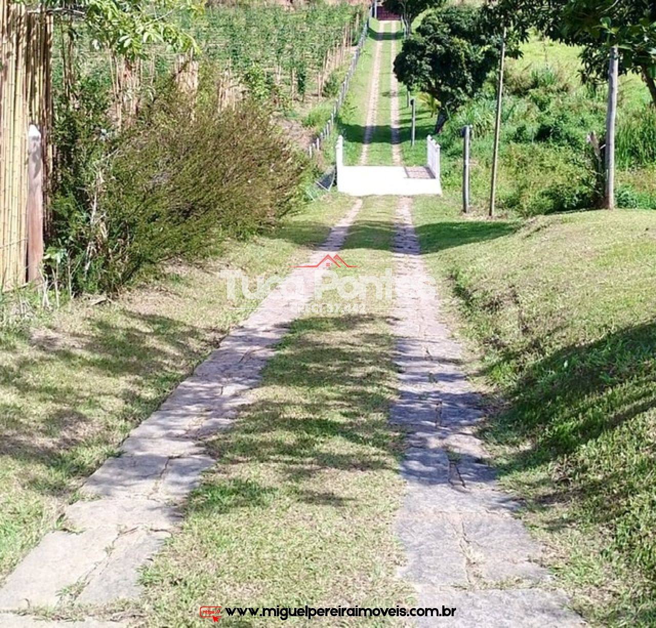 Sítio  - Com nascentes  | Código:S5