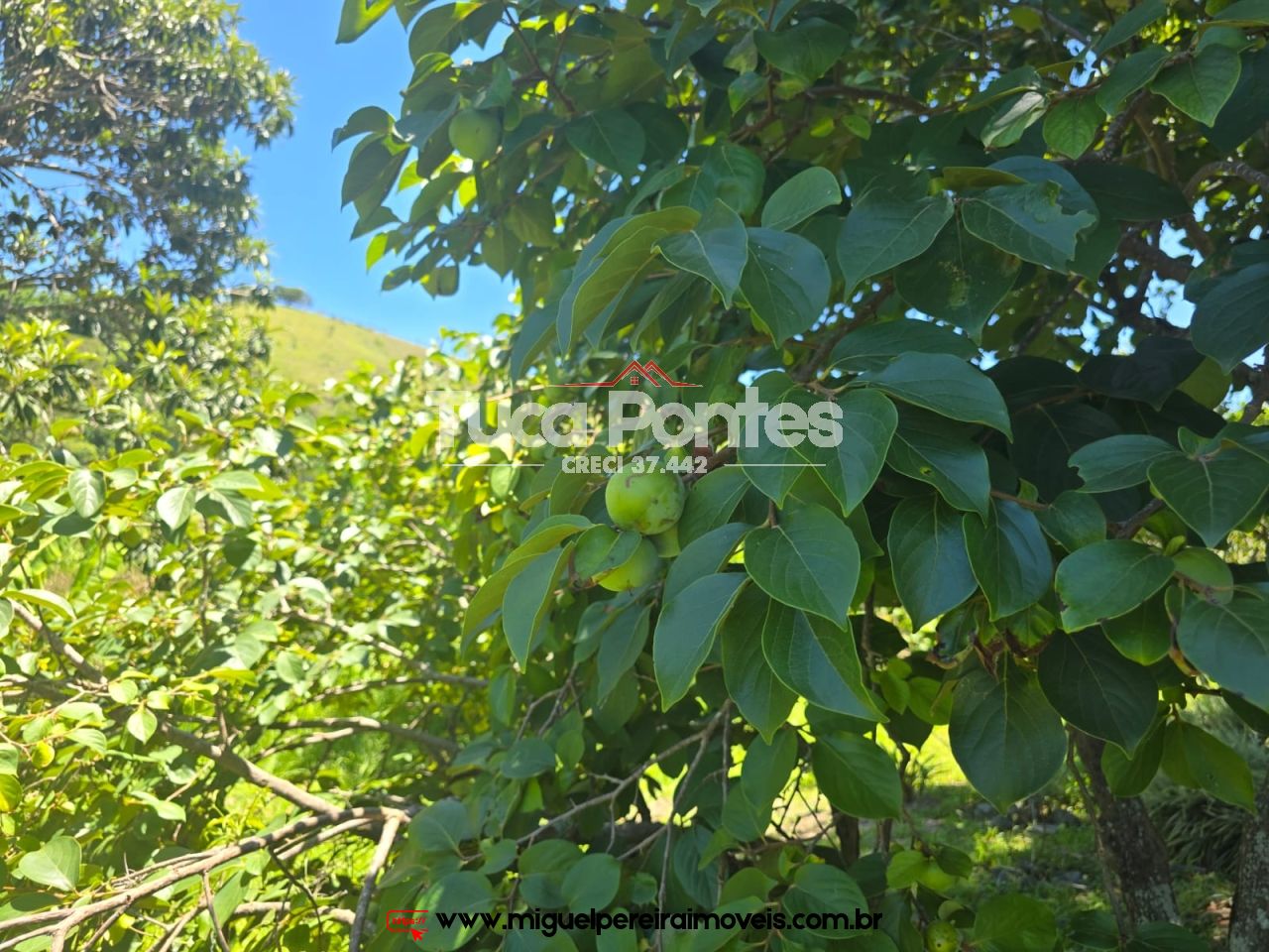 Verdadeira vida na roça - Podendo ser autossustentável  | Código:S5