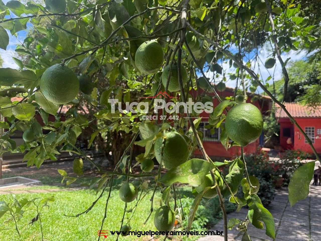 Super aconchegante  - Casa com anexos e piscina | Código:C61