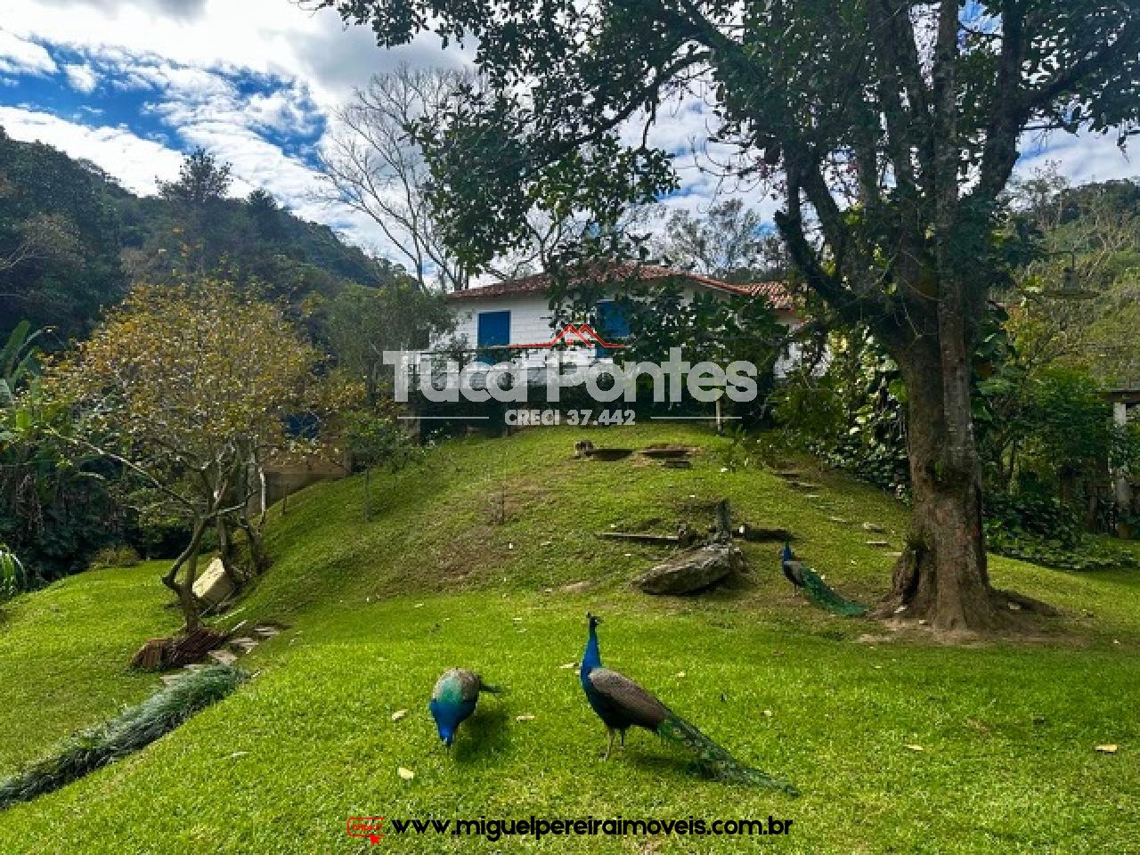 Sítio medindo 148.000 m2 - Com 5 quartos sendo 4 suítes  | Código:S1000