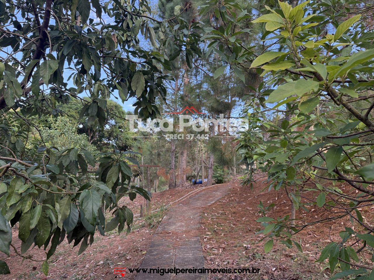 Sítio a venda em Paty do Alferes - Apenas 5 Km do Centro | Código:S21