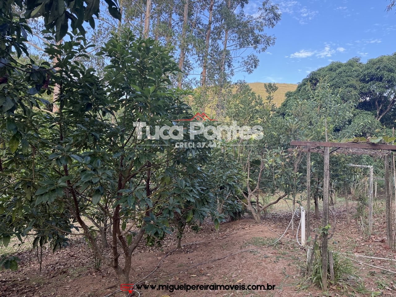 Sítio a venda em Paty do Alferes - Apenas 5 Km do Centro | Código:S21