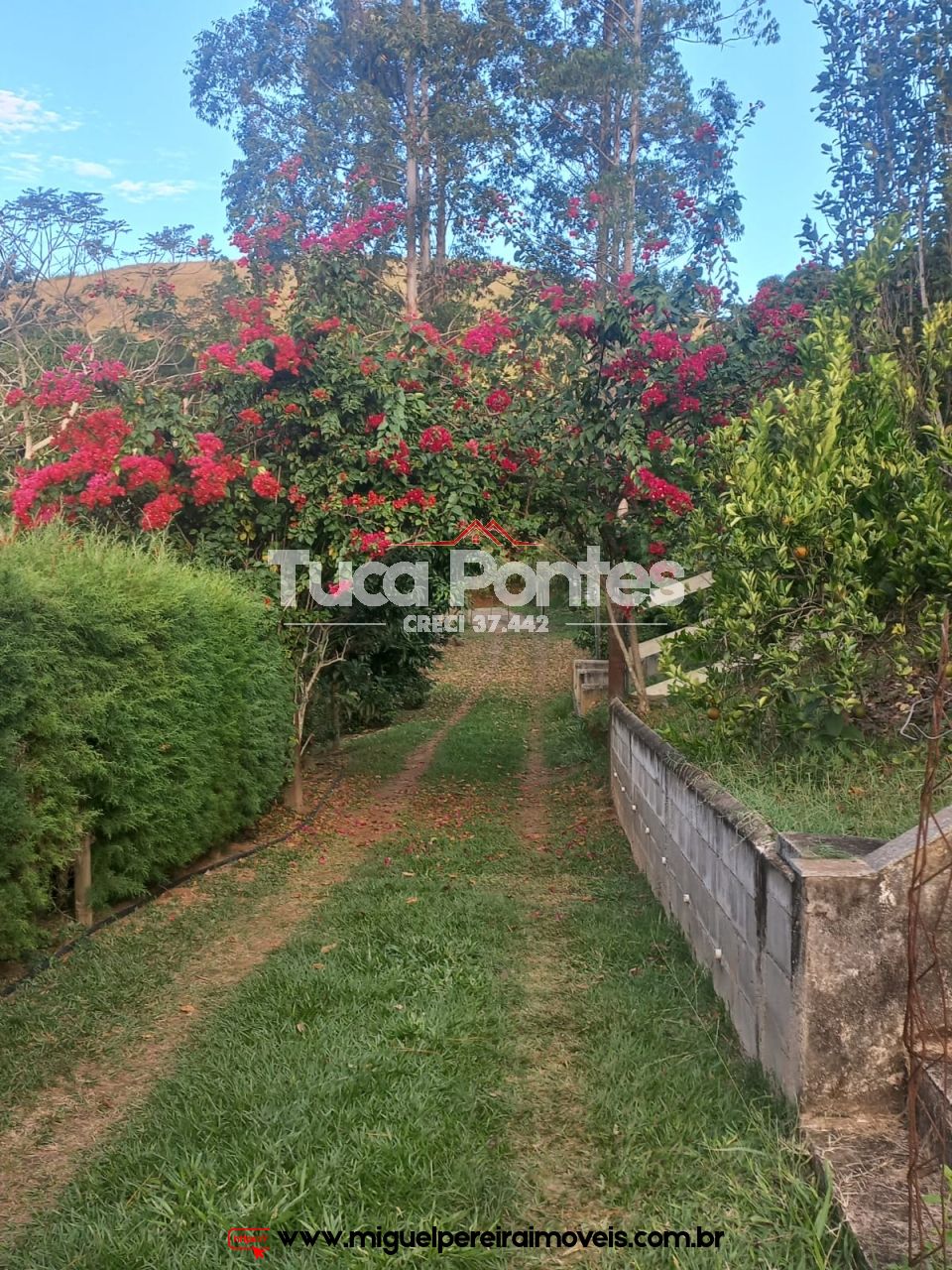 Sítio a venda em Paty do Alferes - Apenas 5 Km do Centro | Código:S21