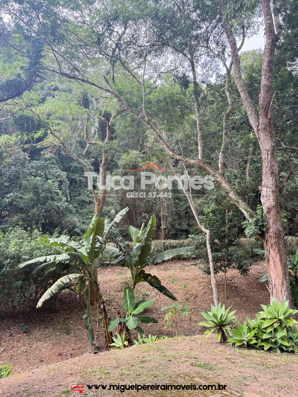 Sítio medindo 144.000 m² - Simplesmente incrível !!! | Código:S1