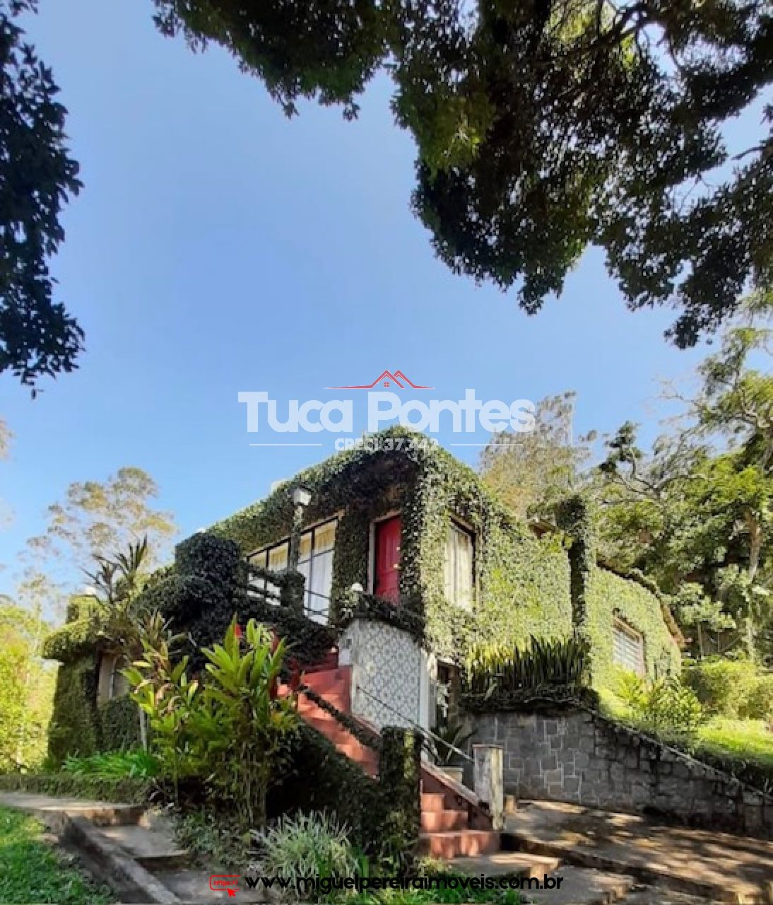 Sítio rico em flora e vista encantadora  - Medindo 38,8 hectares ou 388.000m² | Código:S2