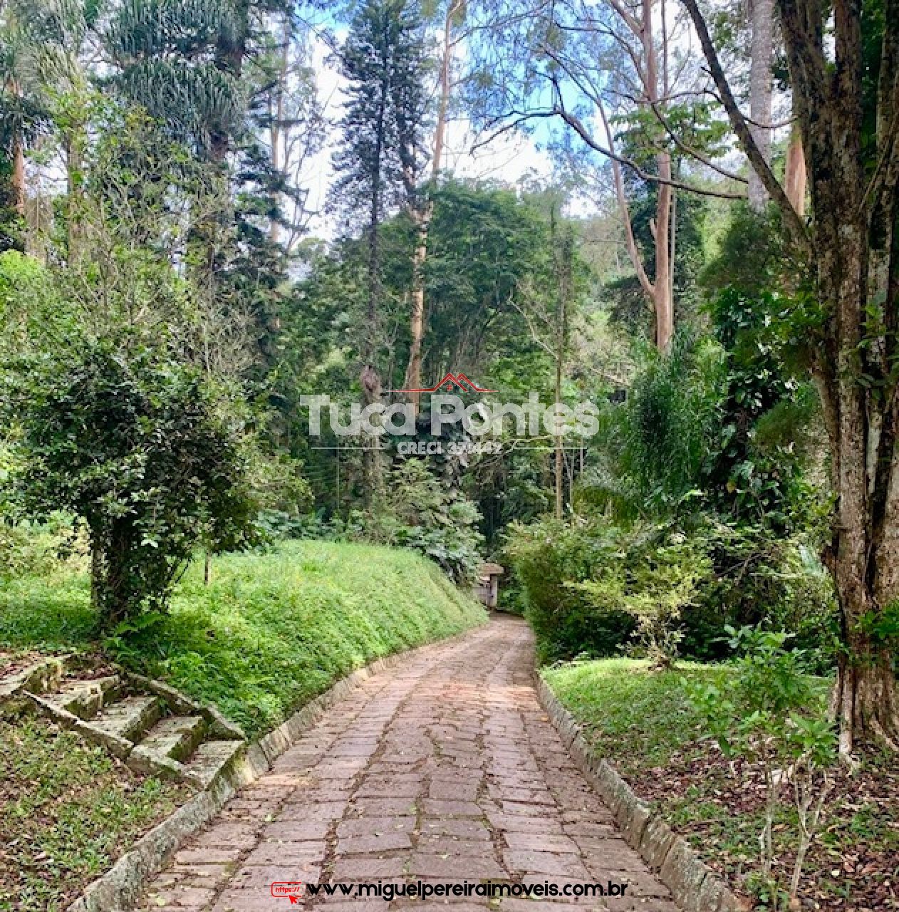 Sítio rico em flora e vista encantadora  - Medindo 38,8 hectares ou 388.000m² | Código:S2