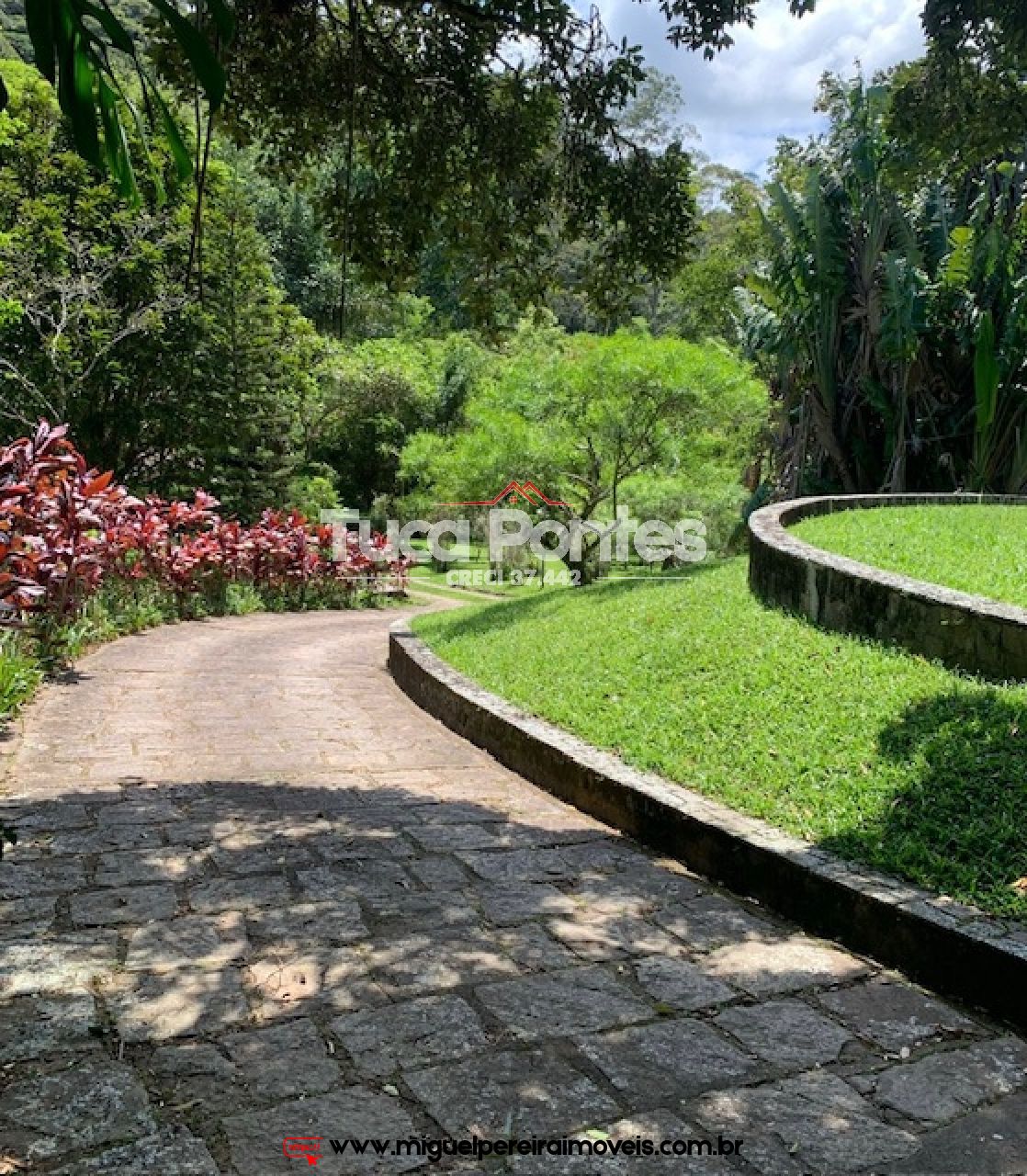 Sítio rico em flora e vista encantadora  - Medindo 38,8 hectares ou 388.000m² | Código:S2