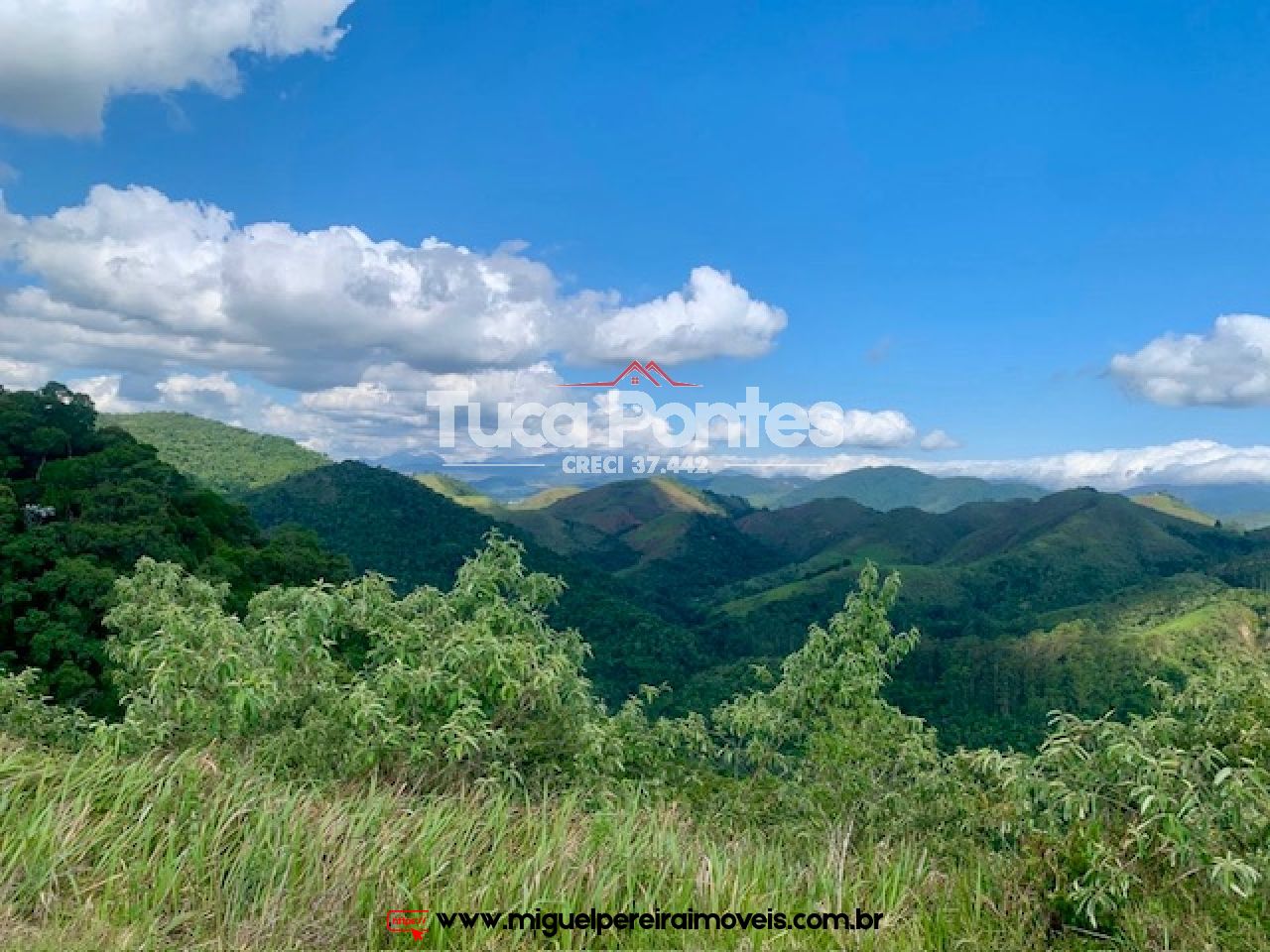 Sítio rico em flora e vista encantadora  - Medindo 38,8 hectares ou 388.000m² | Código:S2