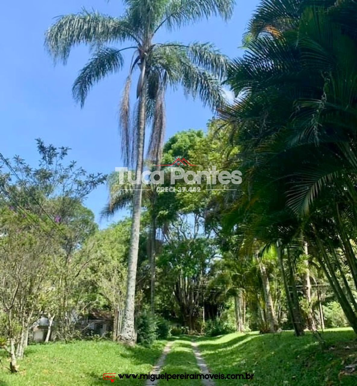 Sítio rico em flora e vista encantadora  - Medindo 38,8 hectares ou 388.000m² | Código:S2
