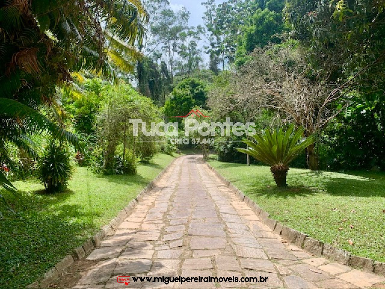 Sítio rico em flora e vista encantadora  - Medindo 38,8 hectares ou 388.000m² | Código:S2