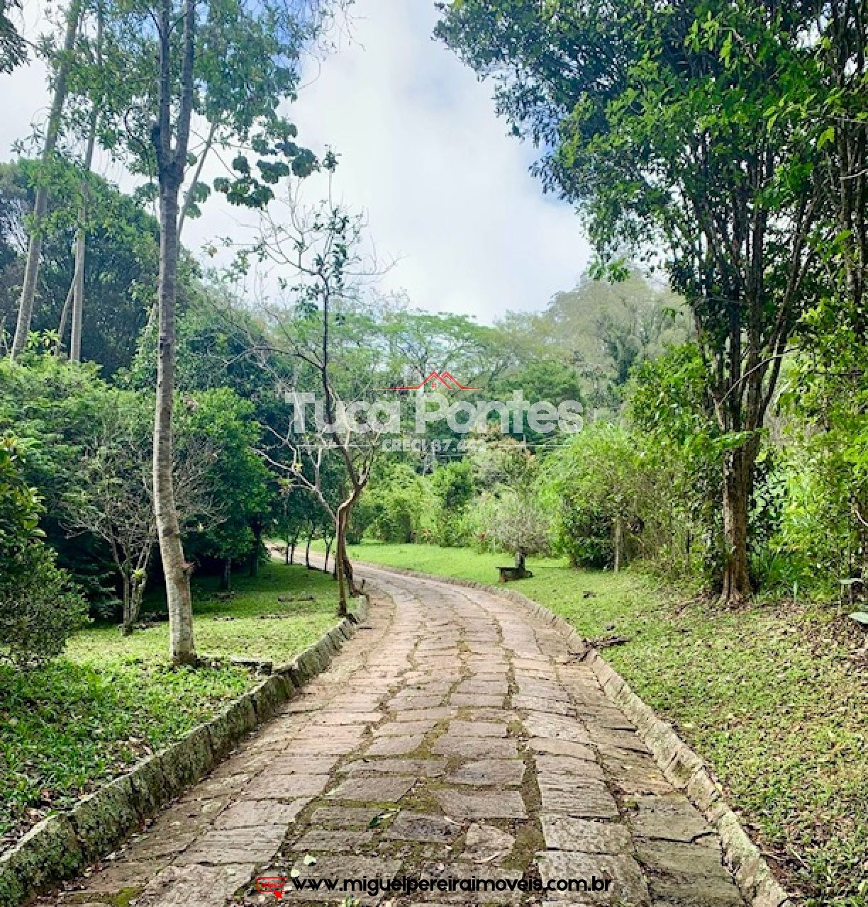 Sítio rico em flora e vista encantadora  - Medindo 38,8 hectares ou 388.000m² | Código:S2
