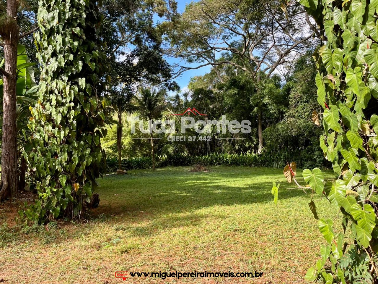 Sítio a venda em Paty do Alferes - Um charme! | Código:S20