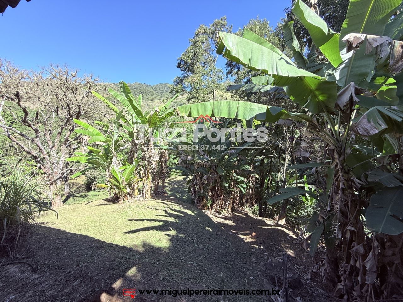 Casa com cachoeira  - Residencial ou Comercial  | Código:C98