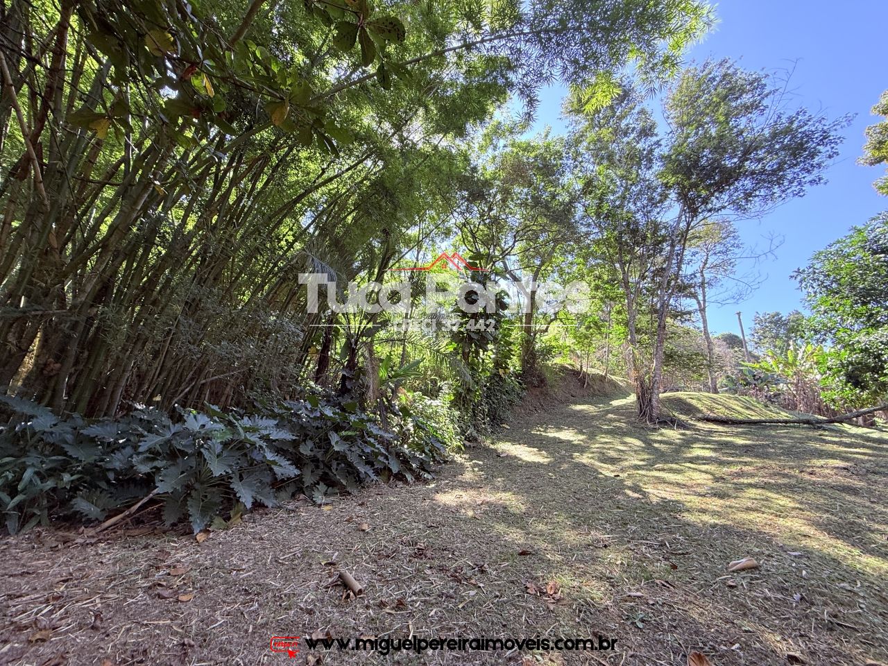 Casa com cachoeira  - Residencial ou Comercial  | Código:C98