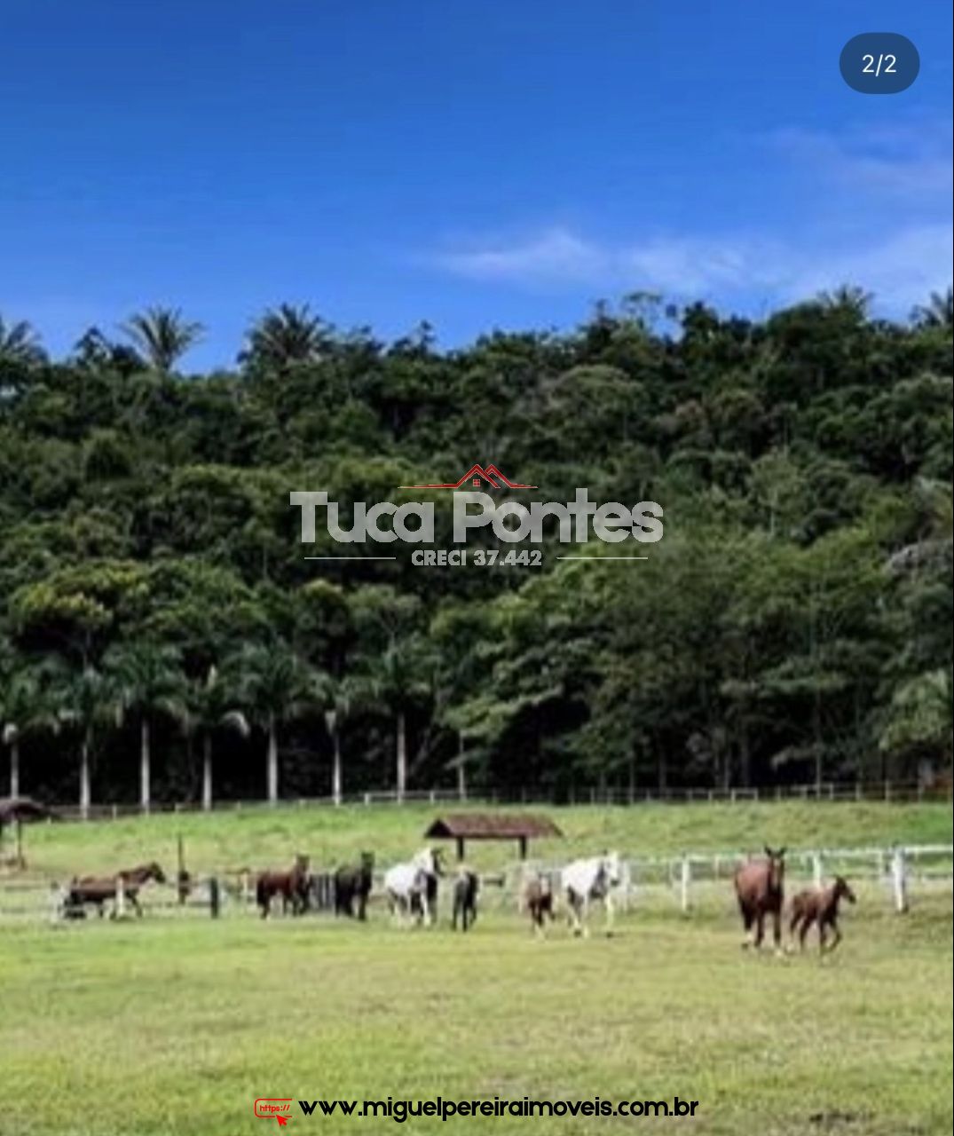 Haras a venda no Vale do Café - Estrutura maravilhosa | Código:S210