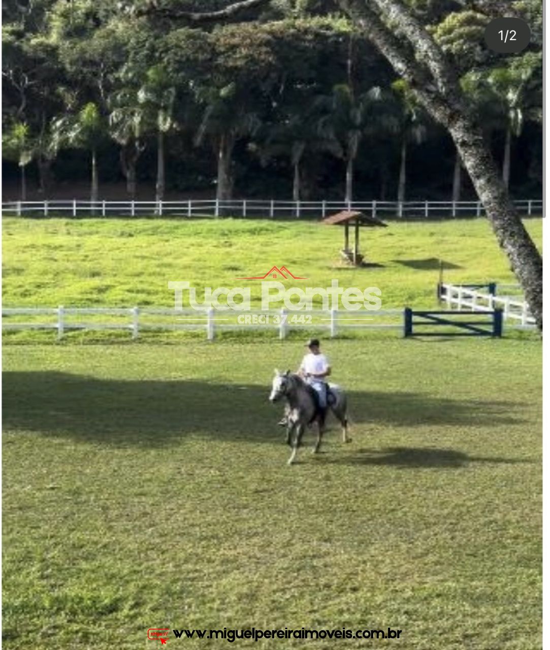Haras a venda no Vale do Café - Estrutura maravilhosa | Código:S210